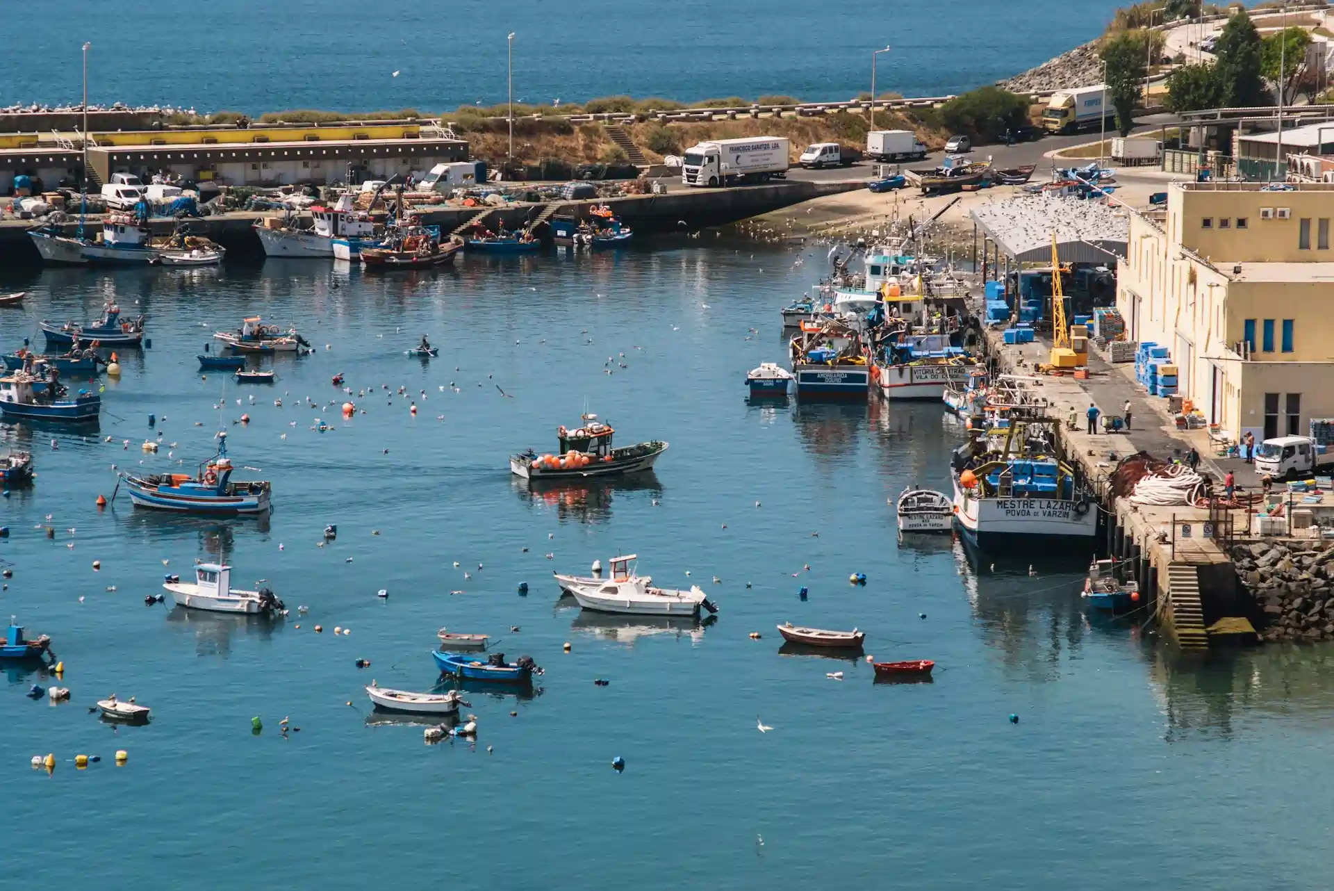 A Guide to Sines, Portugal’s Hidden Coastal Treasure